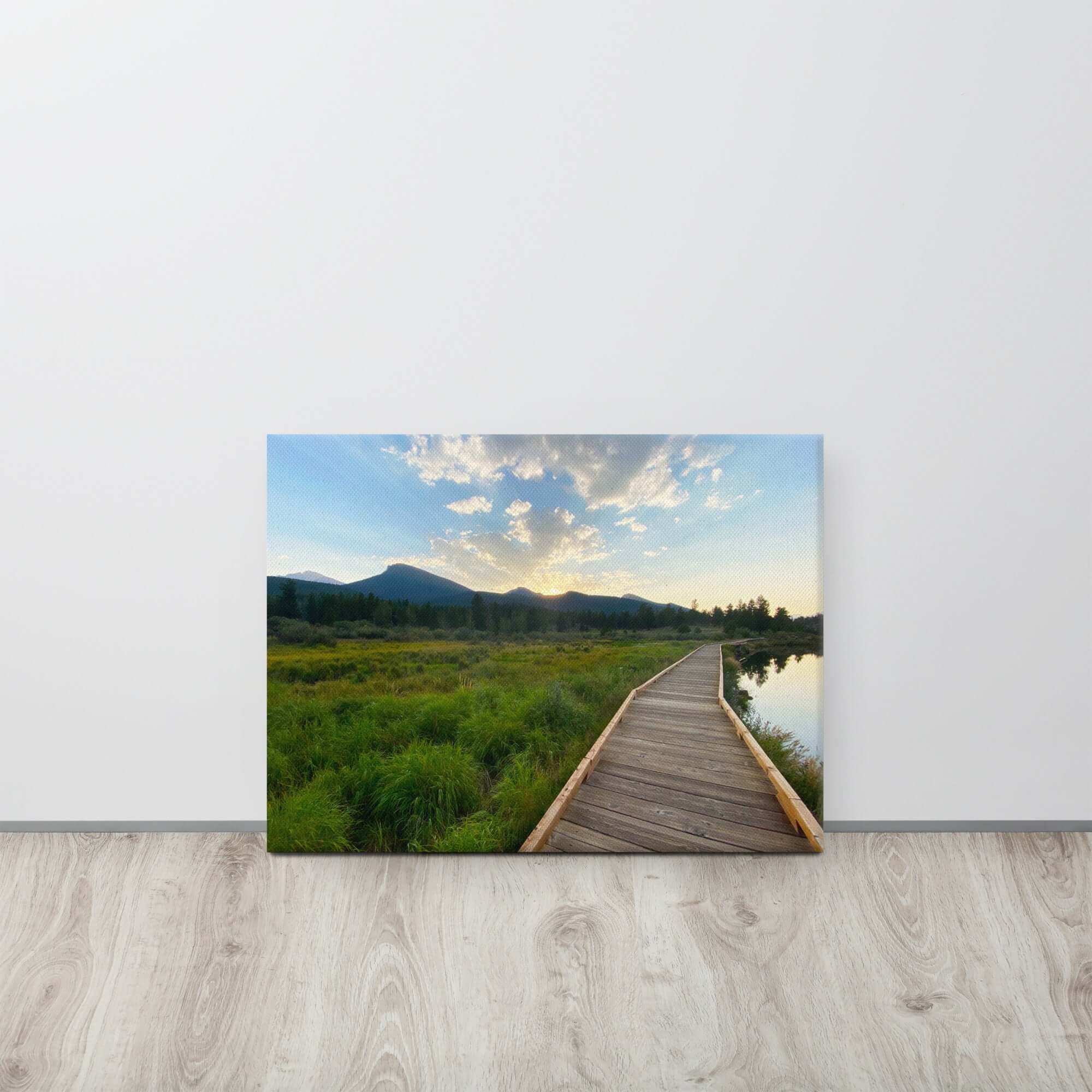 The Pathway Canvas Print