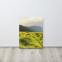 Peaceful Grazing Canvas Print